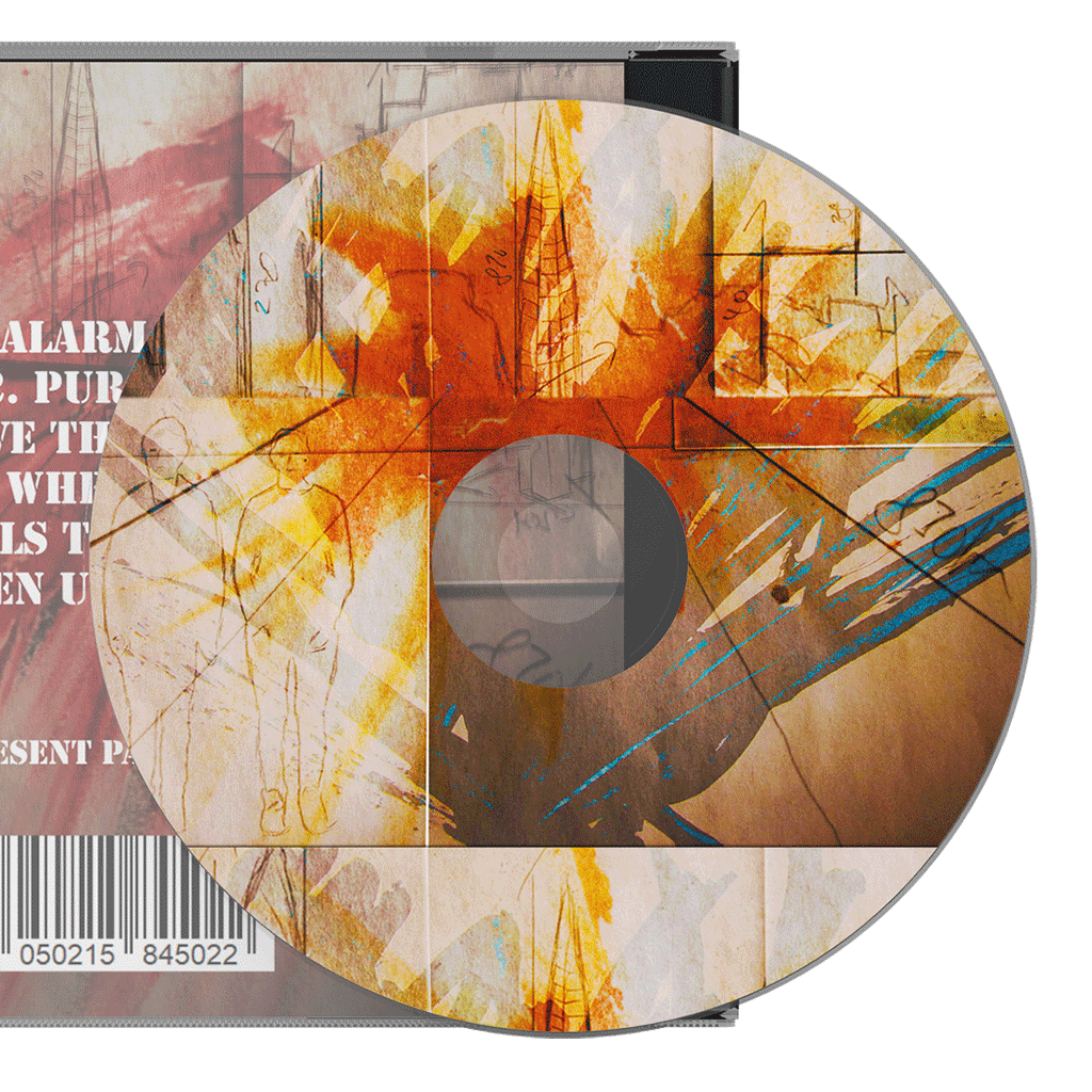Afbeelding voor categorie CD-productie met 4c inkjetprinten